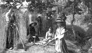 Faneuses