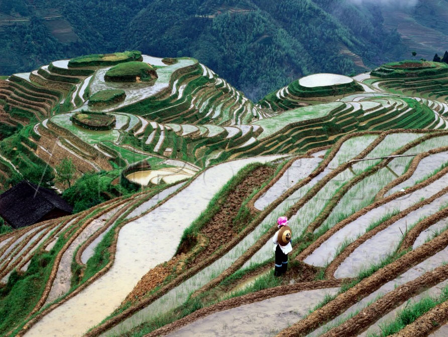 Zhuang
