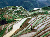 Zhuang