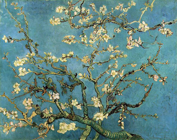amandier en fleurs