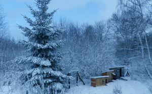 Hiver