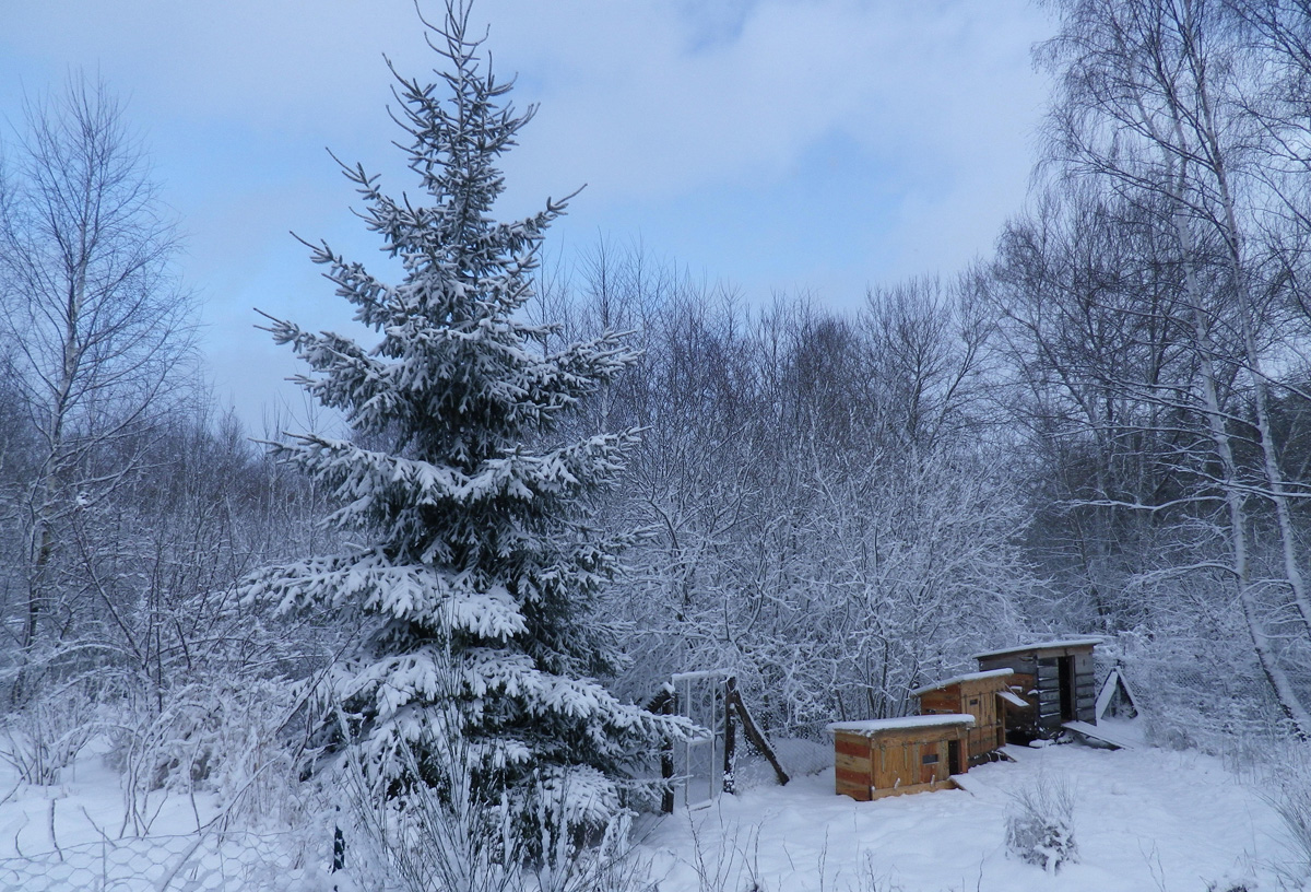 hiver