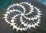 crop circle