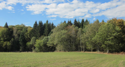Limousin