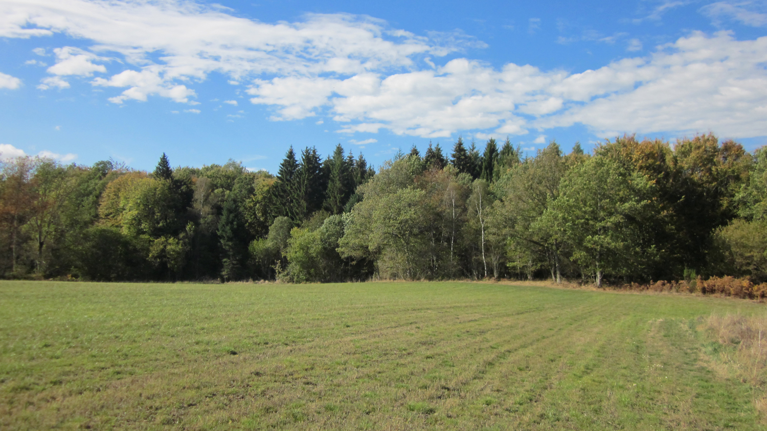 Limousin