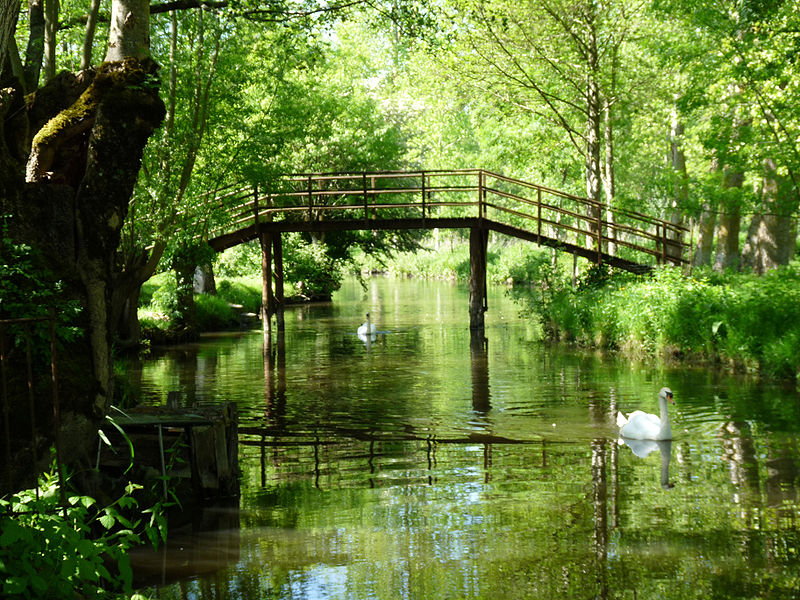 Marais poitevin