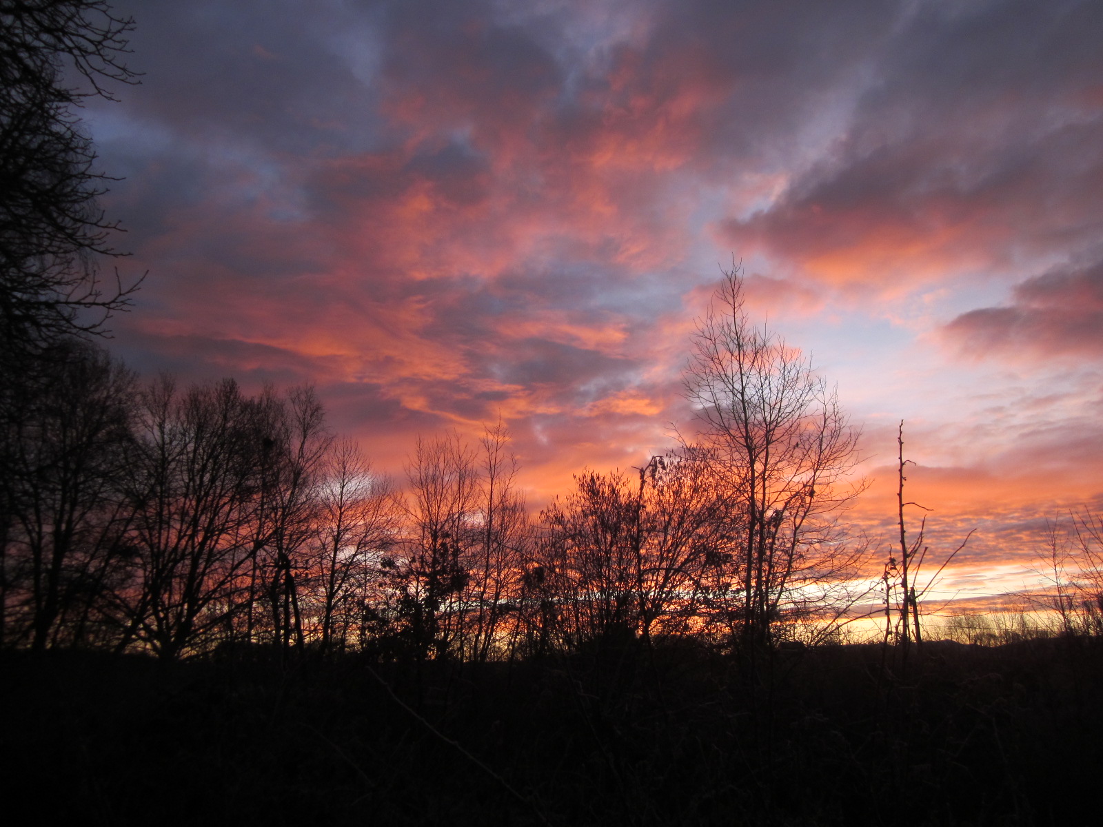 Ciel