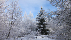 Hiver