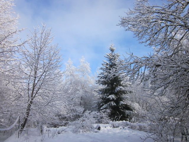 Hiver