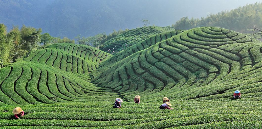 Taiwan
