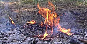 Feu